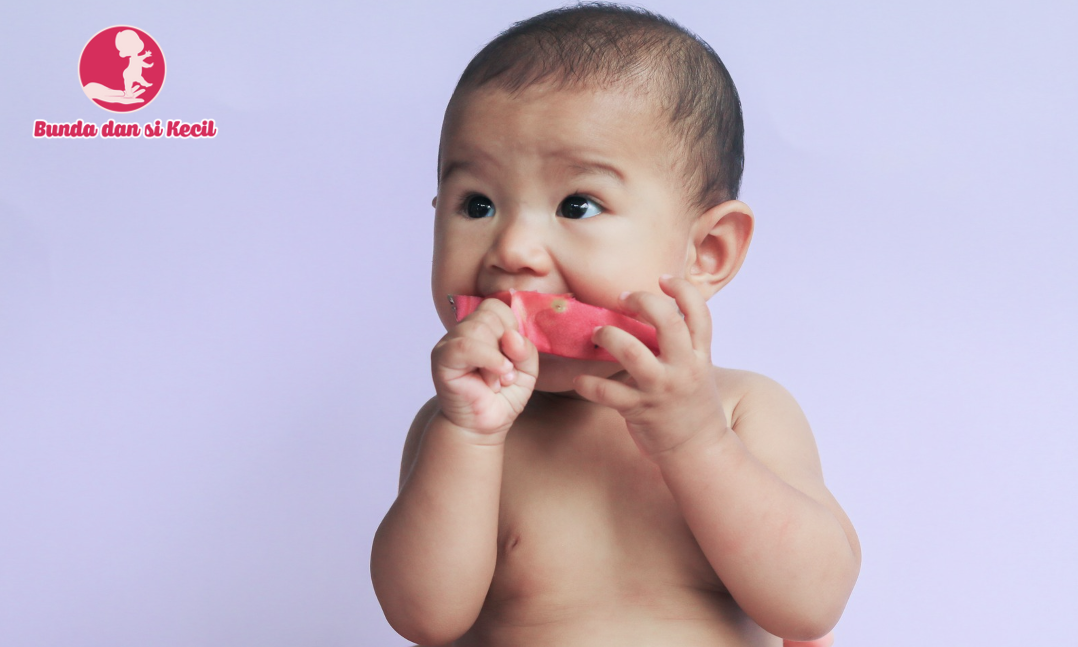 5 Teether Alami untuk Bayi 6 Bulan ke Atas yang Aman dan Sehat